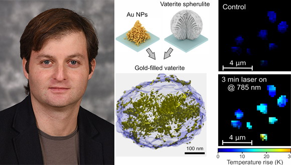 Figure to the left shows 3D reconstruction of the golden vaterite and the laser-induced heating of the spherulites.